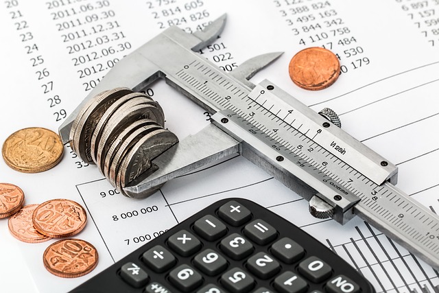 individual loan assets