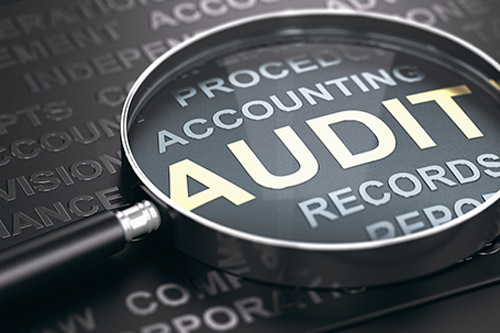 How to Prepare for a SARS Audit, Practical Steps for Businesses